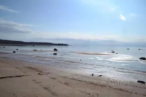 Участок в Ленинградская область, Выборгский район, Приморское ...