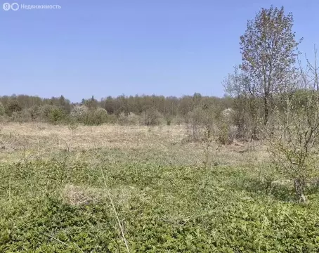 Участок в Брянский район, село Журиничи (20 м)