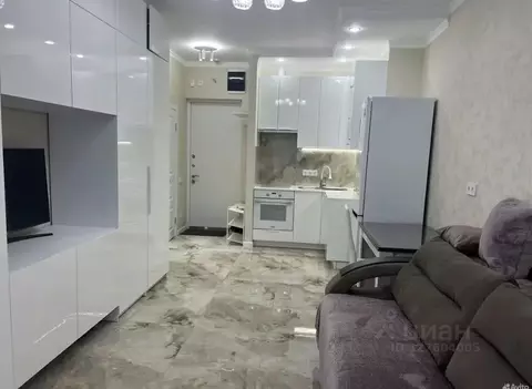 Студия Москва просп. Прокшинский, 10 (26.0 м)