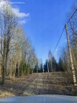 Участок в Волосовский район, Бегуницкое сельское поселение, деревня ...