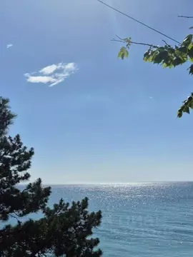 1-к кв. Амурская область, Благовещенск Пограничный пер., 7 (25.0 м)