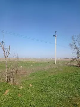 Участок в Крым, Сакский район, Молочненское с/пос, с. Витино  (200.0 ...