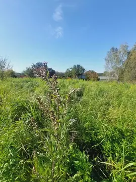 Участок в Калужская область, Калуга Яблонька-2 СНТ, ул. Центральная, ...