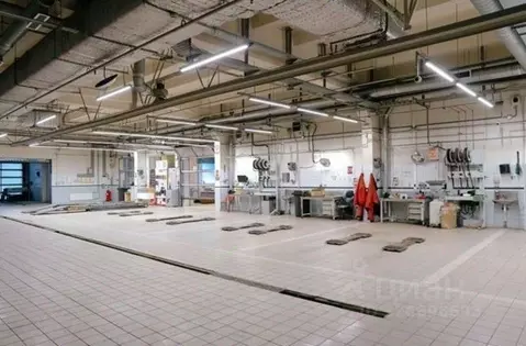 Помещение свободного назначения в Санкт-Петербург ул. Руставели, 31А ...