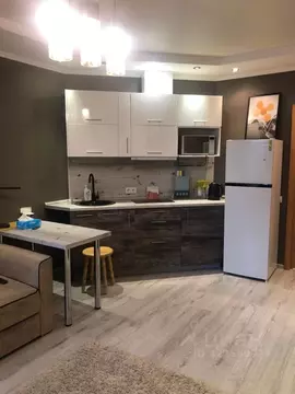 1-к кв. Приморский край, Владивосток Некрасовский пер., 24 (36.0 м)