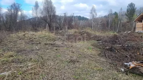 Участок в Алтай, Майминский район, Поселок филиал ул. Родниковая (12.0 ...