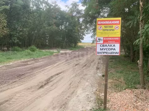 Участок в Курская область, Курский район, Нижнемедведицкий сельсовет, ...