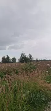 Участок в Ленинградская область, Тосненский район, Любанское городское ...