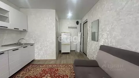 Студия Башкортостан, Стерлитамак ул. Нагуманова, 25Е (17.6 м)