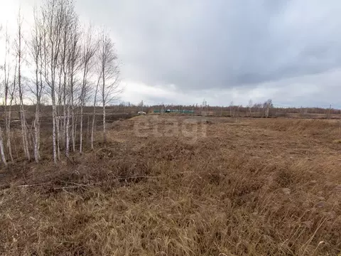 Участок в Тюменская область, Тюмень Большое Царево-1 СНТ,  (9.8 сот.)