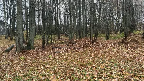 Участок в Московская область, Ступино городской округ, с. ...