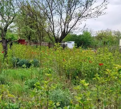 Участок в Ростовская область, Аксайский район, Рассветовское с/пос, ...