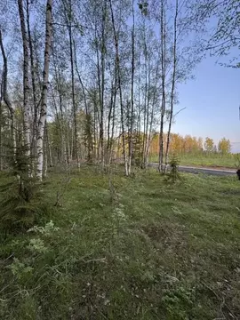 Участок в Ленинградская область, Всеволожский район, Куйвозовское ...