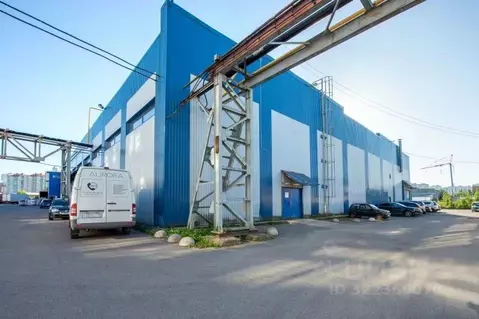 Офис в Санкт-Петербург Коломяги тер.,  (247 м)