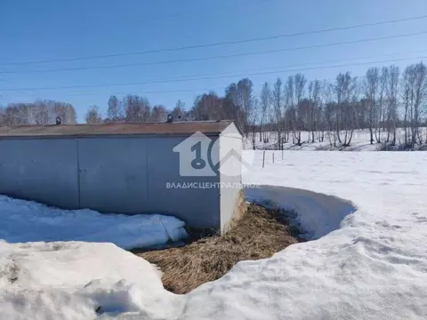 Участок в Новосибирская область, Новосибирский район, Станционный ...