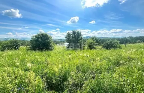 Участок в Алтайский край, Алтайский район, Айский сельсовет, ...