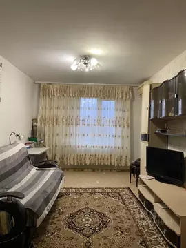 1-к кв. Самарская область, Тольятти ул. Фрунзе, 37 (32.7 м)