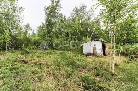Участок в Тюменская область, Нижнетавдинский муниципальный округ, ...