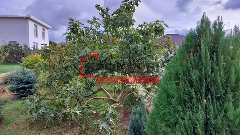 Участок в Севастополь ш. Крепостное, 23к3 (10.0 сот.)