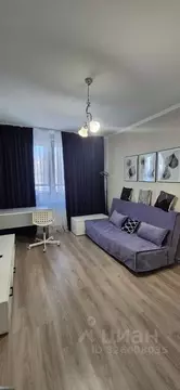 1-к кв. Санкт-Петербург дор. Кушелевская, 1к2 (33.4 м)