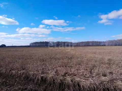 Участок в Омская область, Омский район, с. Новотроицкое ул. Гагарина, ...