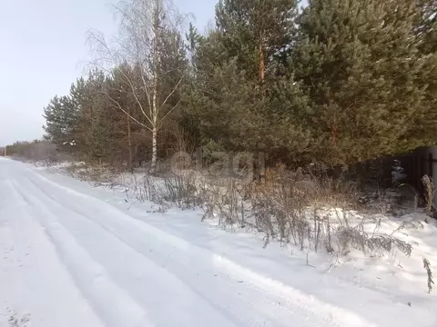 Участок в Нижегородская область, Богородский муниципальный округ, д. ...