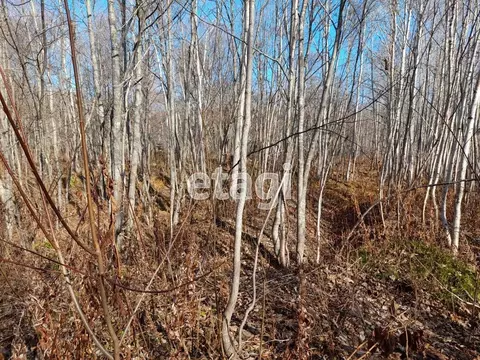 Участок в Сахалинская область, Южно-Сахалинск городской округ, с. ...