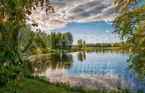 Участок в Тюменская область, Нижнетавдинский муниципальный округ, ...