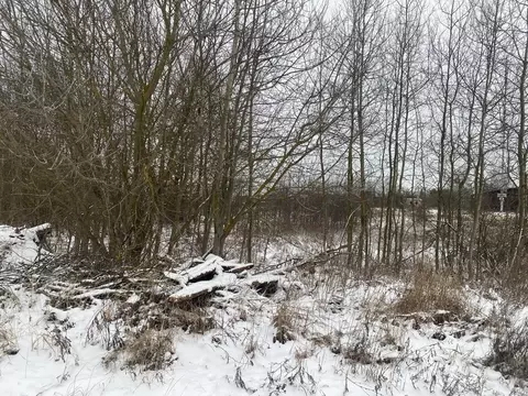 Участок в Московская область, Орехово-Зуевский городской округ, д. ...