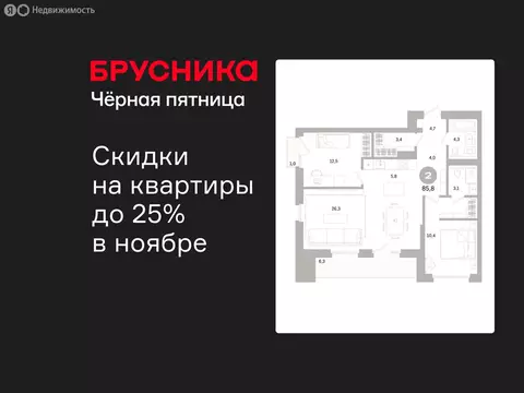 2-комнатная квартира: Санкт-Петербург, Василеостровский район, ЖК ...