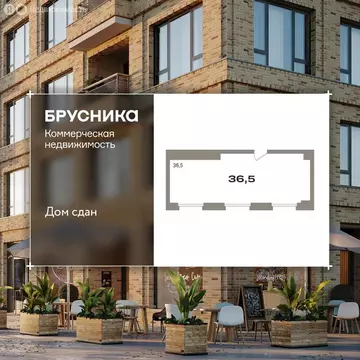 Помещение свободного назначения (36.6 м)