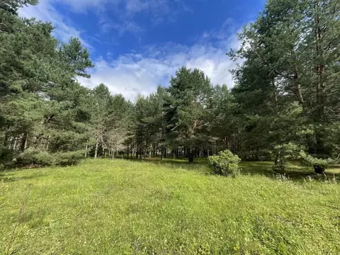 Участок в Тульская область, Заокский район, Страховское с/пос, с. ...