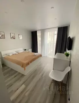 1-к кв. Новосибирская область, Новосибирск Красный просп., 167/4 (37.0 ...