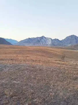 Участок в Алтай, Онгудайский район, с. Инегень Центральная ул., 15 ...