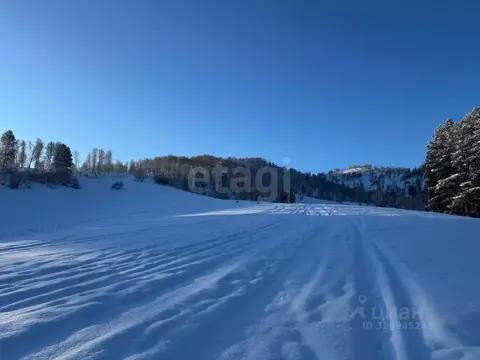 Участок в Алтай, Чемальский район, Узнезинское с/пос, с. Узнезя  (10.7 ...