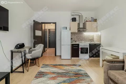 Квартира-студия: Кудрово, Европейский проспект, 8 (25.5 м)