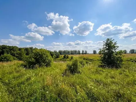 Участок в Тульская область, Веневский муниципальный округ, пос. ...