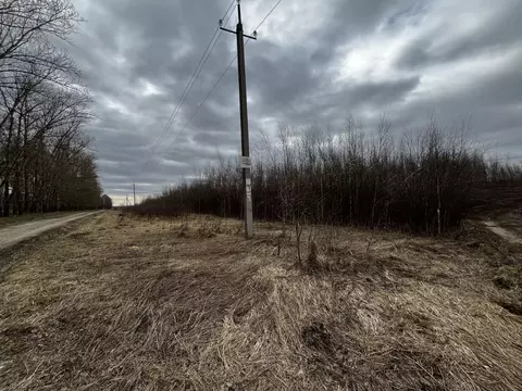 Участок в Владимирская область, Собинский район, Воршинское ...