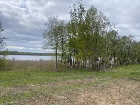 Участок в Псковская область, Куньинский район, Жижицкая волость  (17.0 ...