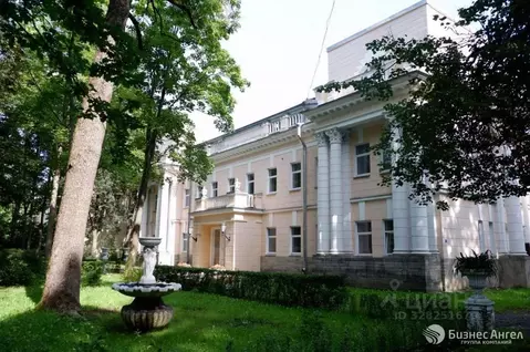 Помещение свободного назначения в Санкт-Петербург, Санкт-Петербург, ...