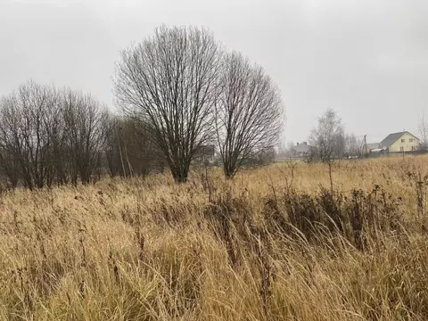 Участок в Московская область, Луховицы пер. 4-й Рябиновый, 3 (25.66 ...