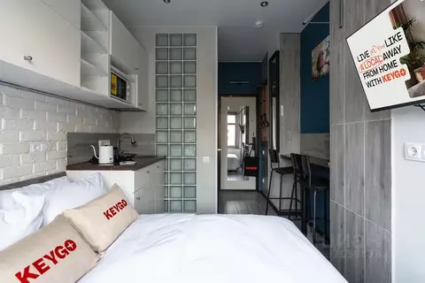 Студия Москва Электрический пер., 3/10С1 (10.0 м)