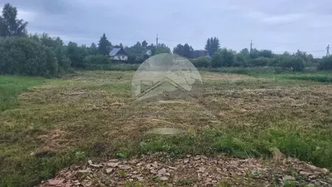 Участок в Новгородская область, Новгородский район, Савинское с/пос, ...