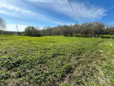 Участок в Новгородская область, Валдайский район, Яжелбицкое с/пос, д. ...