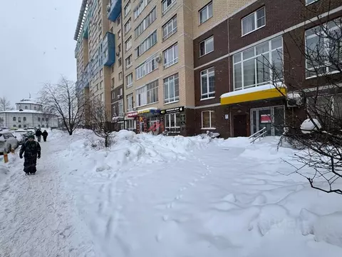 Торговая площадь в Московская область, Мытищи ул. Комарова, 2к3 (369 ...