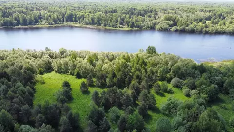 Участок в Тверская область, Конаковский муниципальный округ, д. ...