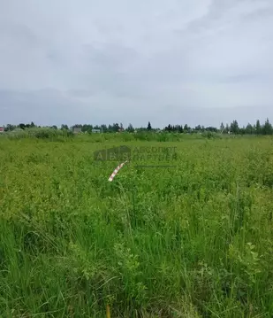 Участок в Новгородская область, Новгородский район, Ракомское с/пос, ...