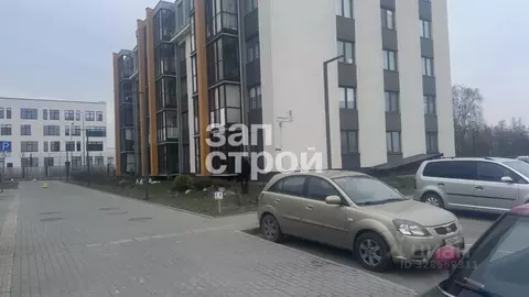 Студия Санкт-Петербург, Санкт-Петербург, Пушкин ул. Камероновская, ...