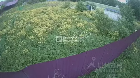 Участок в Ленинградская область, Кингисеппский район, Опольевское ...