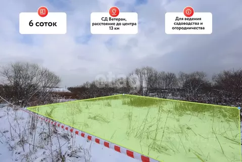 Участок в Хабаровский край, Хабаровский район, Ветеран садовое ...